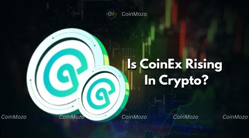 CoinEx's Rise: How It’s Poised To Lead The 2024 Crypto Bull Market 1 crypto news