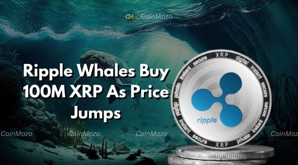 Ripple's Whales Accumulate 100M XRP As Price Jumps 6%—What’s Driving The Surge? 1 Ripple's