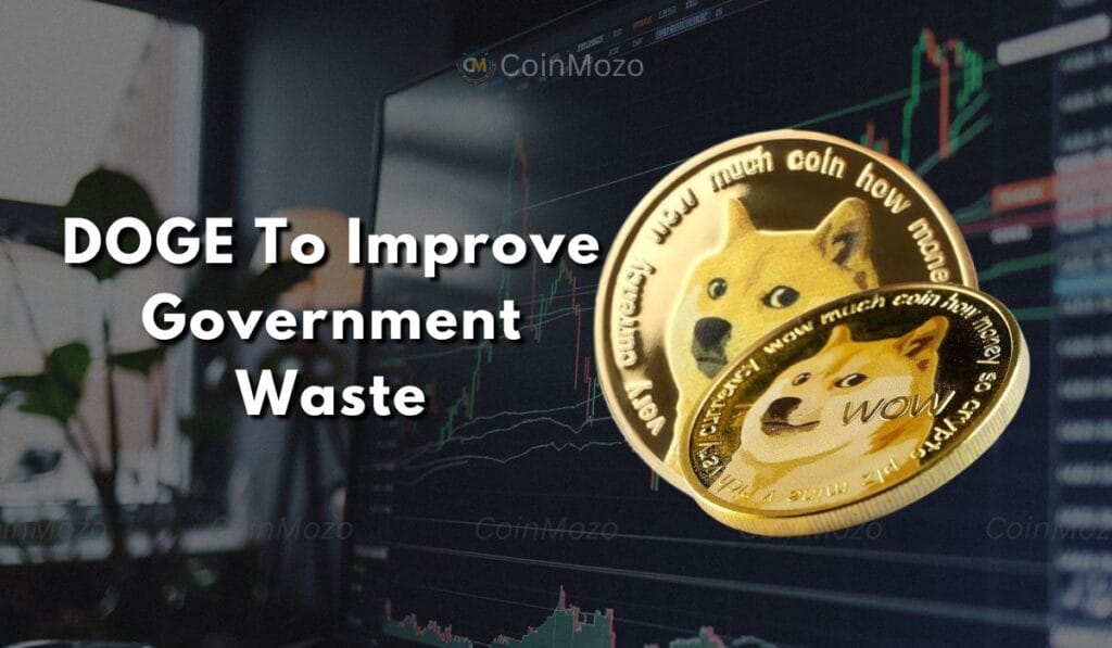 Elon Musk DOGE: A Bold Plan to Cut Government Waste 1 crypto news