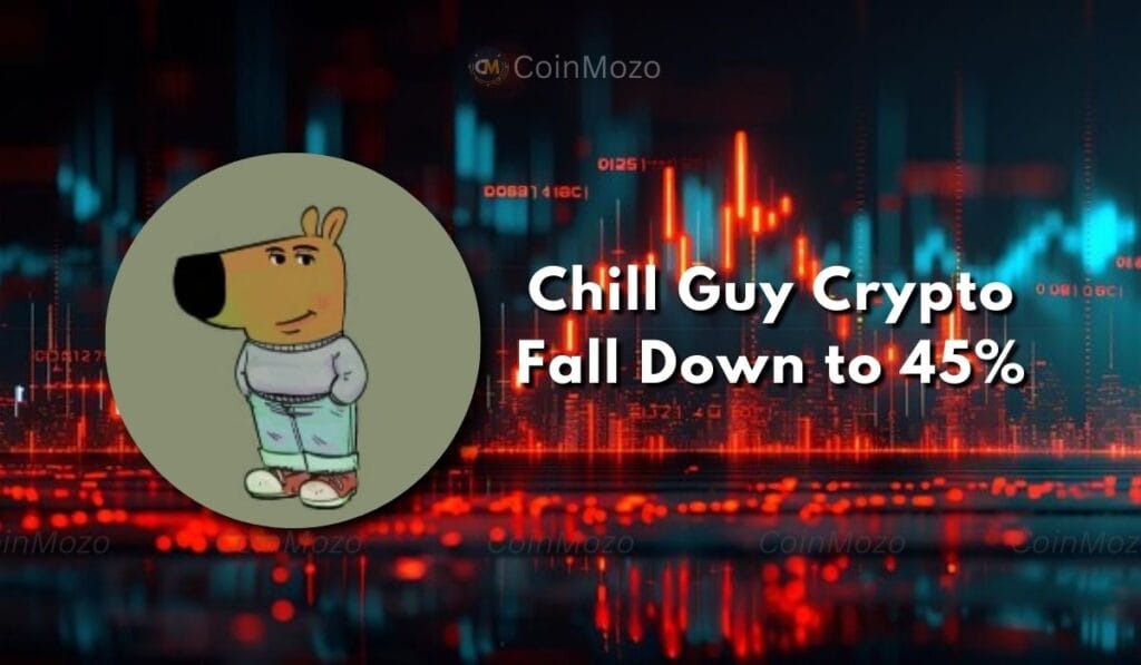 Chill Guy Crypto Fell Apart Violating IP Rights, Crashed 45% in 30 Minutes 1 Chill Guy crypto