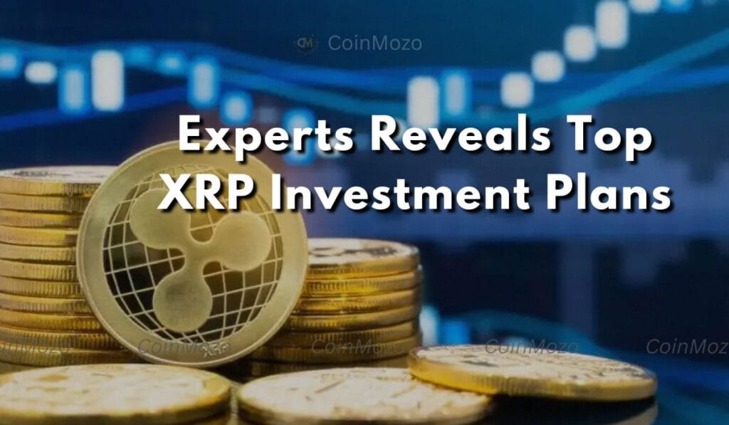 XRP Crypto Investors Shares Top Investment Strategy for 2025 1 XRP crypto