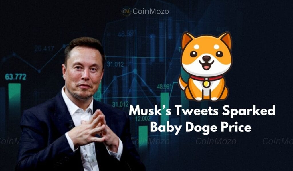 Baby Doge Rally Explained: How Elon Musk Fueled Its Success 1 crypto news