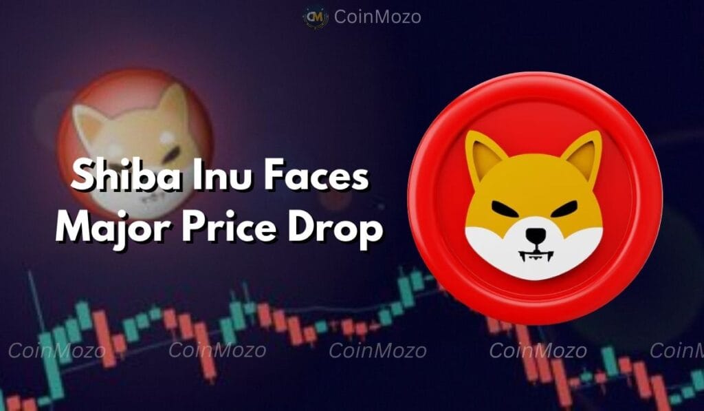 Shiba Inu Whale Activity Surge: 2.79 Trillion SHIB Move Sparks Concerns of a Price Drop! 1 crypto news