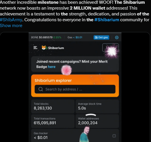 Shiba Inu On The Rise: Shibarium Milestone Of 2 Million Wallets Drives Price Surge 2 crypto news