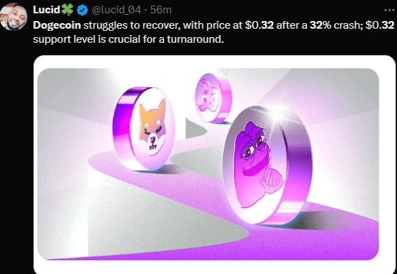 Dogecoin's 32% Drop: Can Whales Lead The Recovery? 3 crypto news