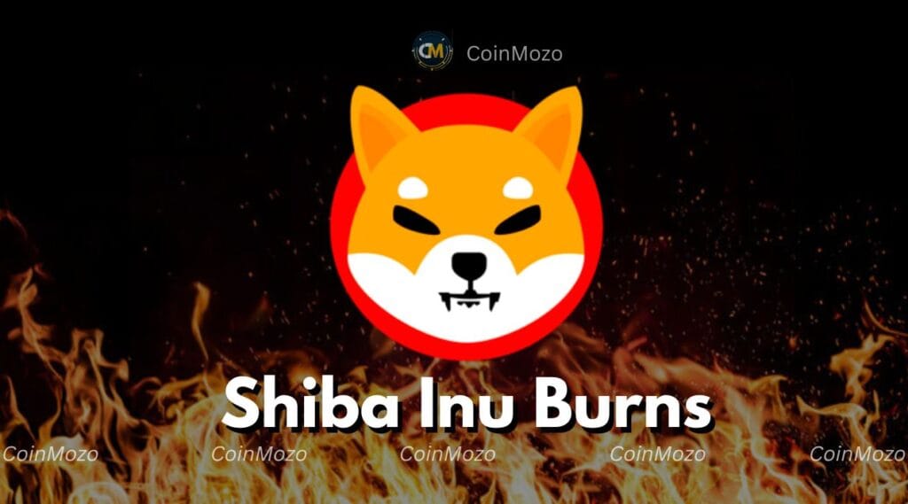 Shiba Inu Burns 17M Tokens: Will SHIB's Price Skyrocket In 2025? 1 crypto news