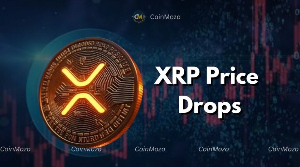 XRP Price Dips As RLUSD Market Cap Hits $53M And Liquidations Surge: What's Next? 1 XRP