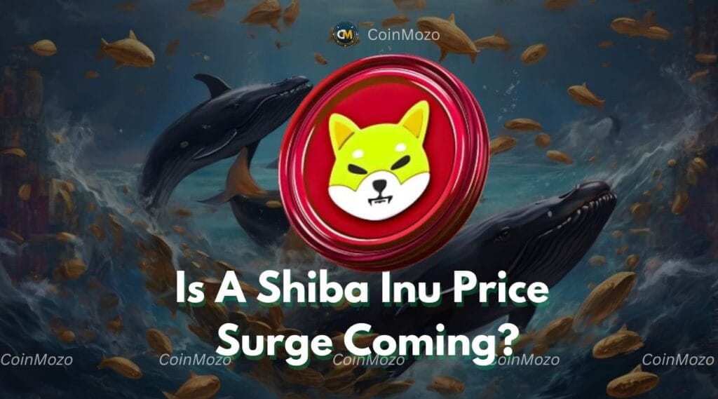 Shiba Inu Whales Move 2.79 Trillion SHIB: Is A Price Surge Coming? 1 shiba inu