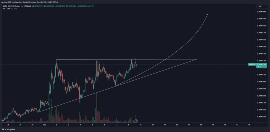 Shiba Inu Coin Price Analysis, Predictions, and Market Trends 6 crypto news