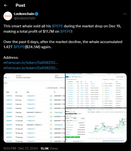 PEPE Investor Beat the Odds and Made Millions During a Dip: Strategy Exposed 2 crypto news