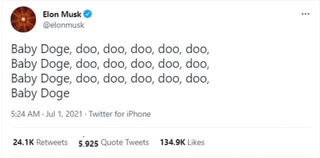Baby Doge Rally Explained: How Elon Musk Fueled Its Success 2 baby doge coin