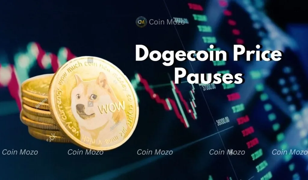 Dogecoin Price Pauses as Investors Turn to New Altcoin 1 crypto news