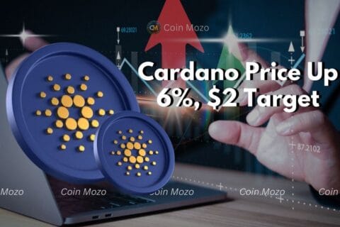 Cardano price