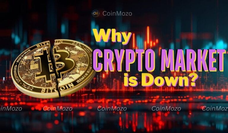 crypto market is down today