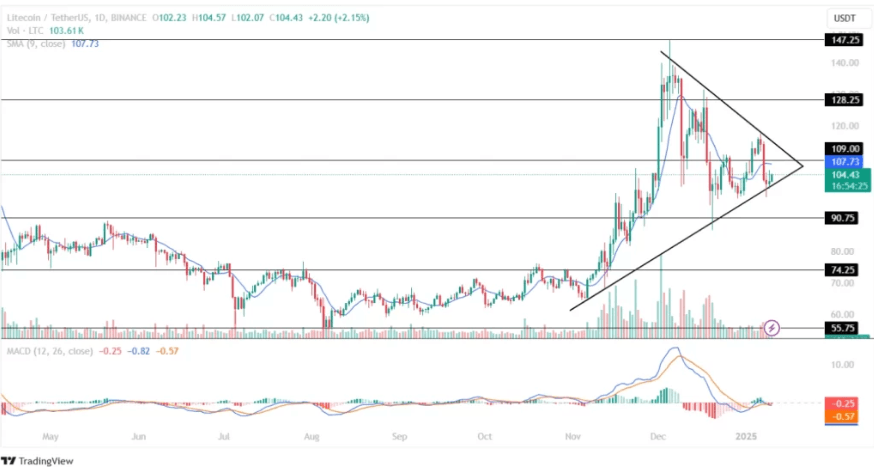 How Litecoin's $100 Support Could Trigger Its Next Major Price Surge 2 crypto news